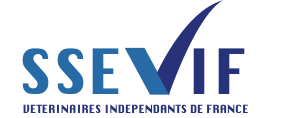 SSEVIF logo sans fond site internet